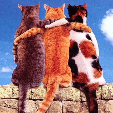 3 Katzen als beste Freunde - 5D DIY Diamond Painting