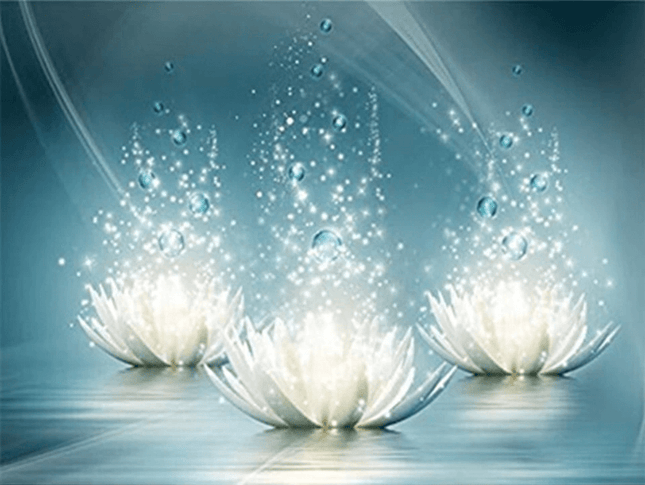 3 Lotusblüten - 5D DIY Diamond Painting