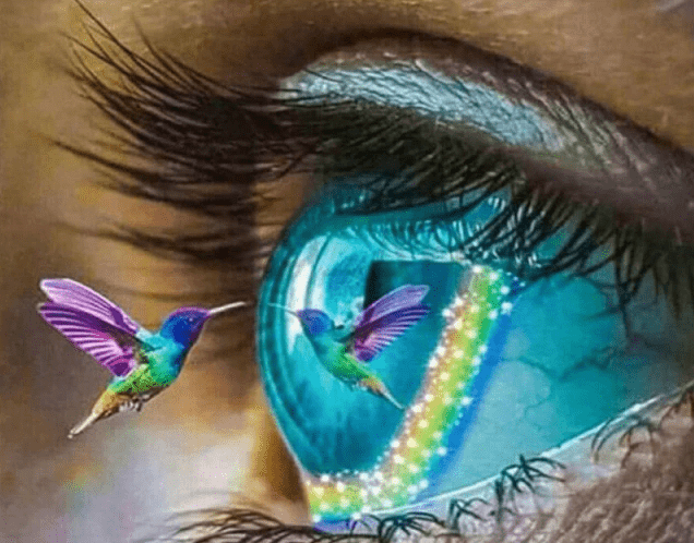 Auge mit buntem Kolibri - 5D DIY Diamond Painting
