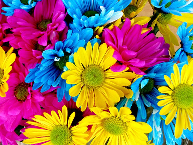 Bunte Margeriten - Voll AB 5D DIY Diamond Painting