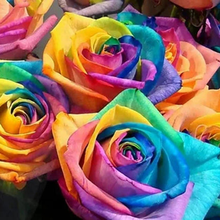 Bunte Rosenblüten - Voll AB 5D DIY Diamond Painting