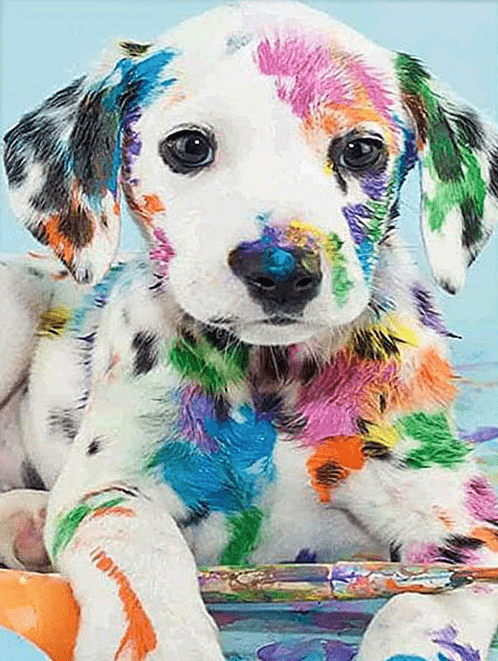 Dalmatiner Welpe bunt angemalt - 5D DIY Diamond Painting
