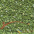 DMC 3347 Yellow Green MED - runde Steine - Diamond Painting