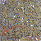 DMC 371 Mustard - eckige Steine - Aurora Borealis (AB) - Diamond Painting