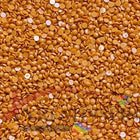 DMC 3853 Autumn Gold DK - runde Steine - Diamond Painting