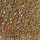 DMC 420 Hazelnut Brown DK - runde Steine - Diamond Painting