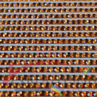 DMC 720 Orange Spice DK - eckige Steine - Strass - Diamond Painting