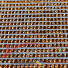DMC 721 Orange Spice MED - eckige Steine - Strass - Diamond Painting