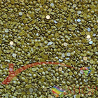 DMC 730 Olive Green VY DK - runde Steine - Diamond Painting