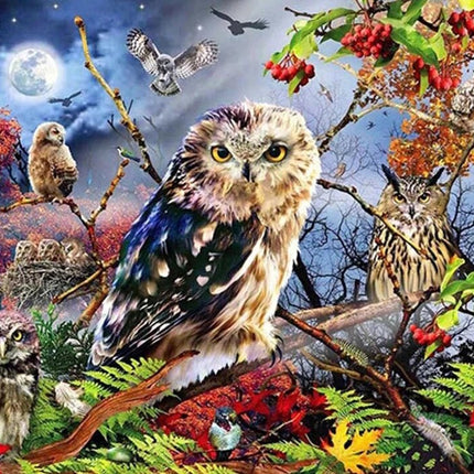 Eule - Voll AB 5D DIY Diamond Painting