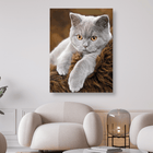 Graue Katze liegt auf Fell - 5D DIY Diamond Painting