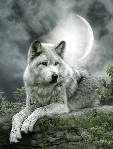 Grauer Wolf mit Mond - 5D DIY Diamond Painting