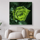 Grüne Rosenblüte mit Wassertropfen - 5D DIY Diamond Painting