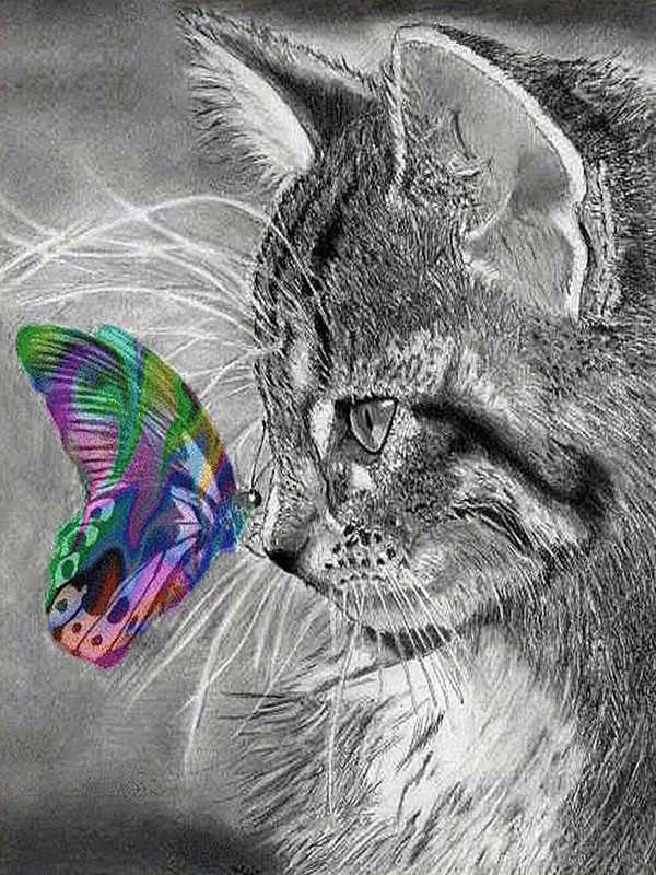 Katze mit bunten Schmetterling - 5D DIY Diamond Painting