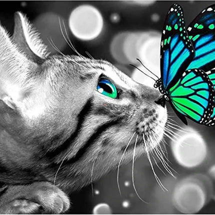 Katze mit Schmetterling auf der Nase LA - Voll AB 5D DIY Diamond Painting