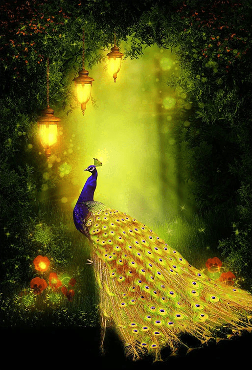 Pfau mit goldenen Federn - 5D DIY Diamond Painting