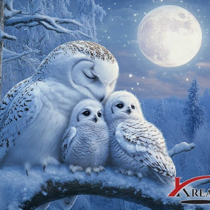 Schneeeulen im Vollmond - 5D DIY Diamond Painting