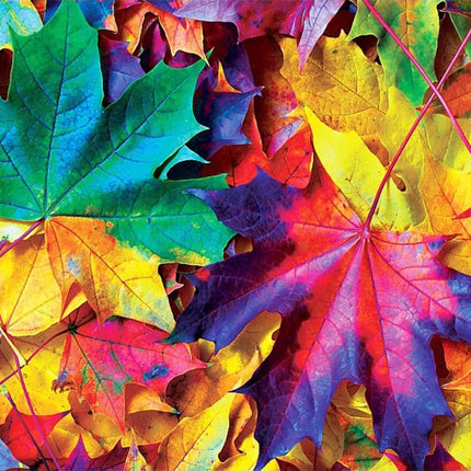 Schönes buntes Herbstlaub - Voll AB 5D DIY Diamond Painting