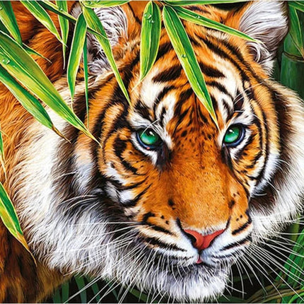 Tiger im Gras - Voll AB 5D DIY Diamond Painting