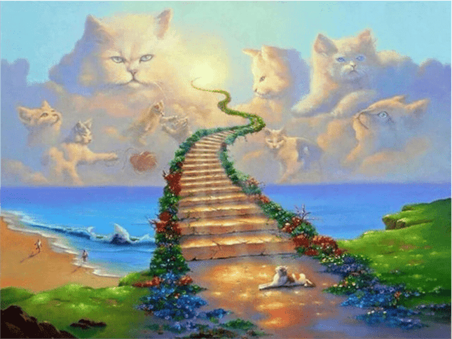 Treppe zum Katzenhimmel - 5D DIY Diamond Painting