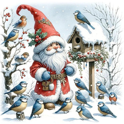 Weihnachtsmann mit Vögel - 5D DIY Diamond Painting
