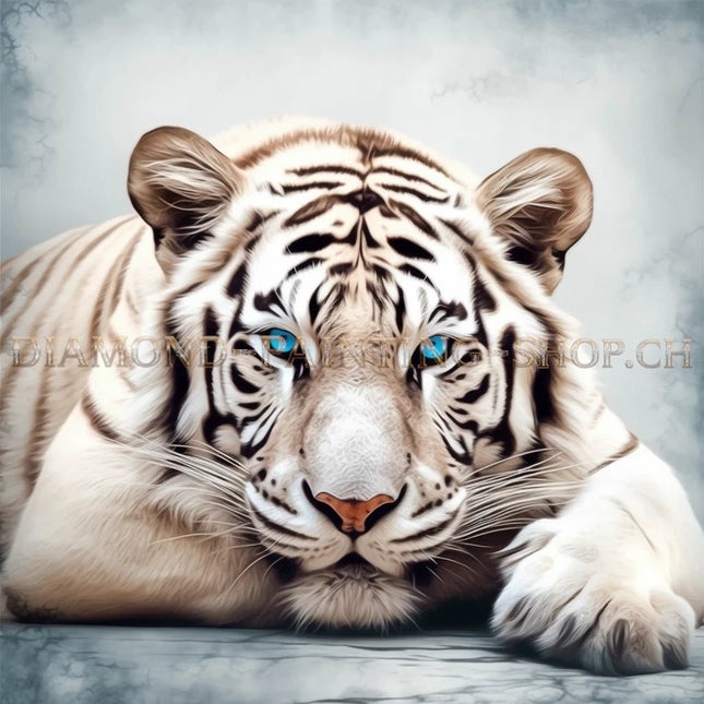 Weisser Tiger mit blauen Augen LA - 5D DIY Diamond Painting
