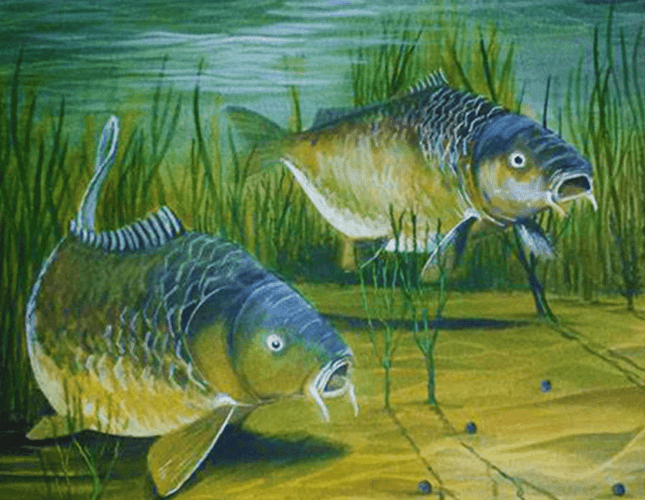 Zwei Karpfen - 5D DIY Diamond Painting